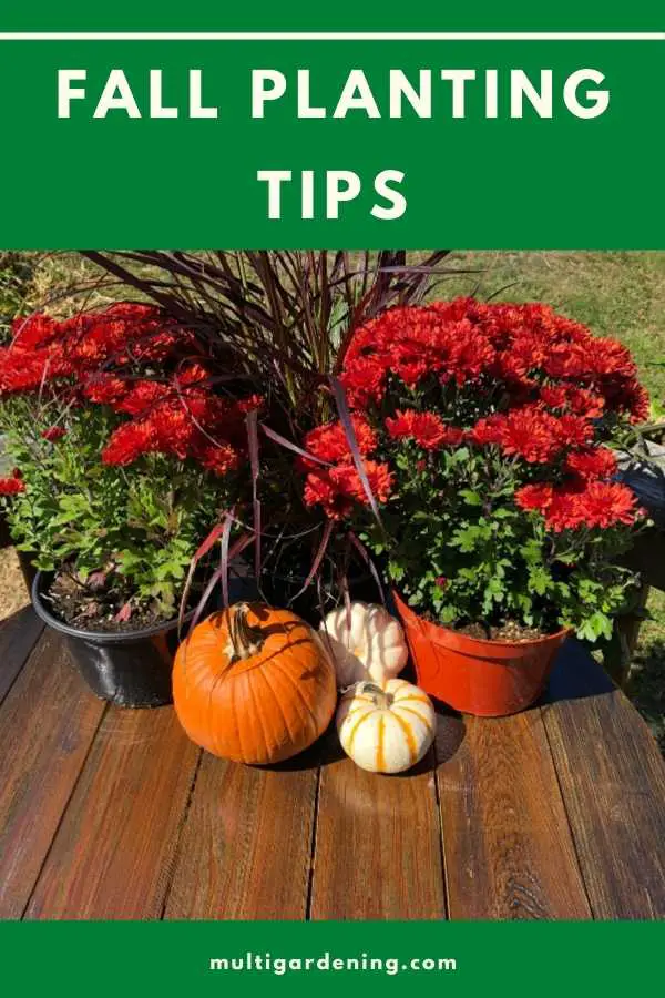 Fall Planting Tips for flowers