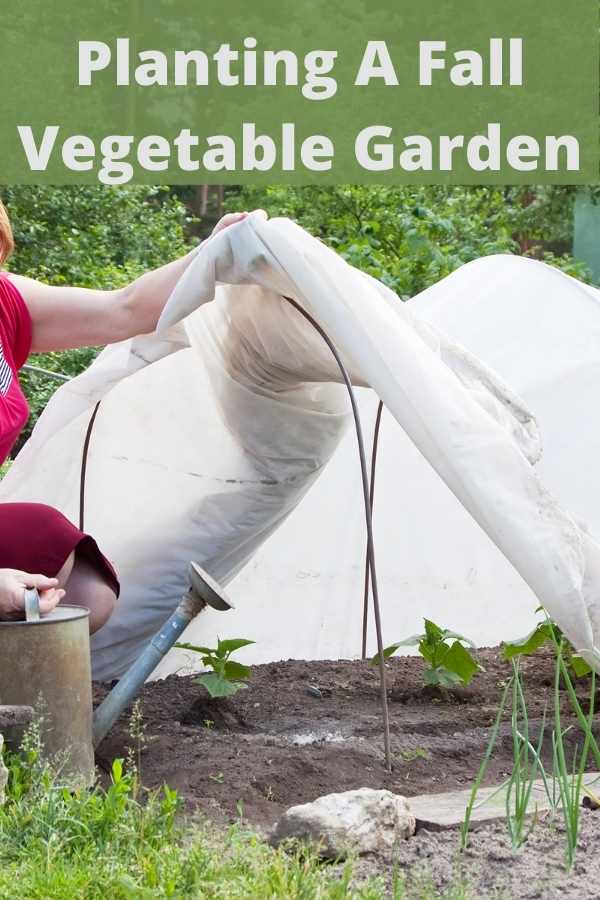 Planting a fall vegetable garden ideas