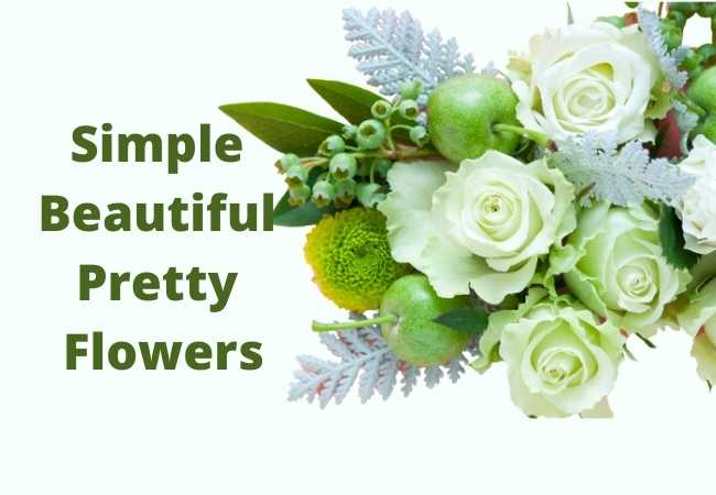 Simple Beautiful Pretty Flowers