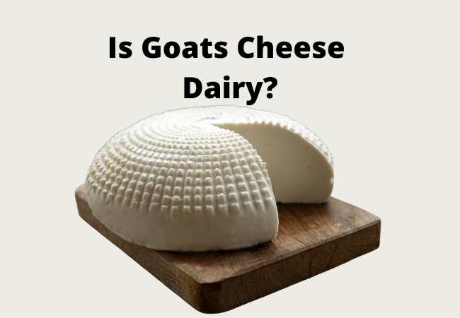 Is Goats Cheese Dairy?