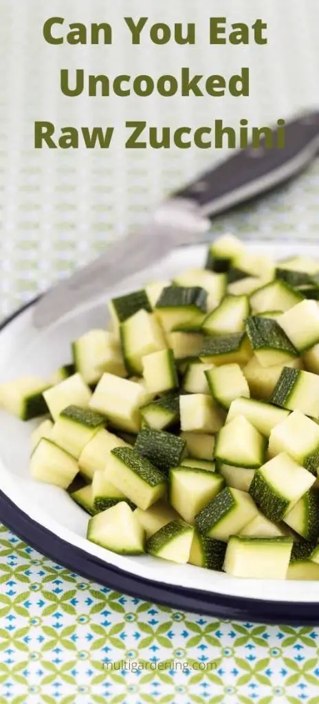 Can You Eat Uncooked Raw Zucchini vegetables