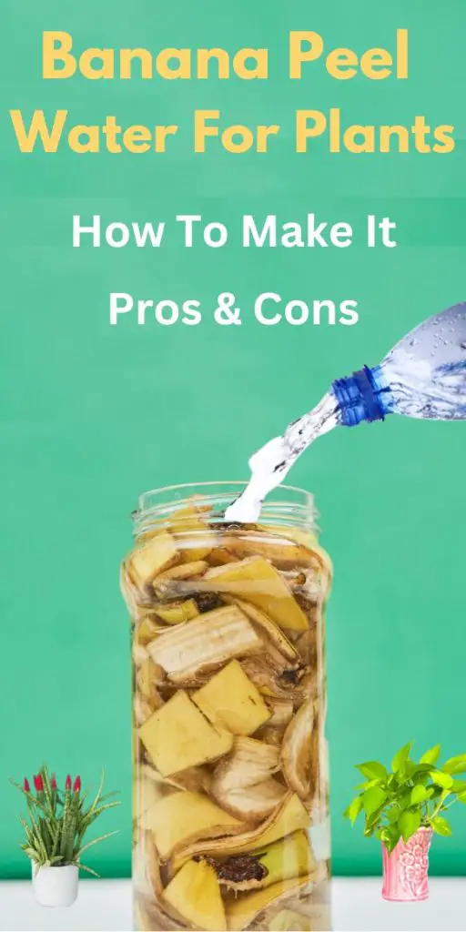 Banana Peel Water For Plants pros and cons