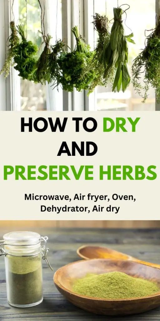 Drying and Preserving Herbs complete guide