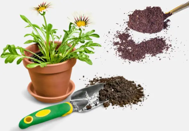How To Garden Safely With Coffee Grounds