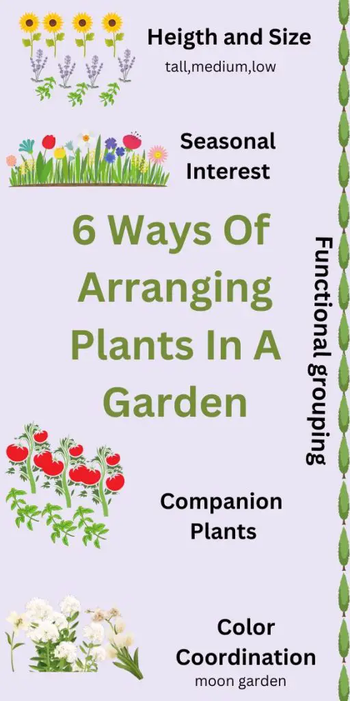 simple Ways of Arranging Plants in a Garden