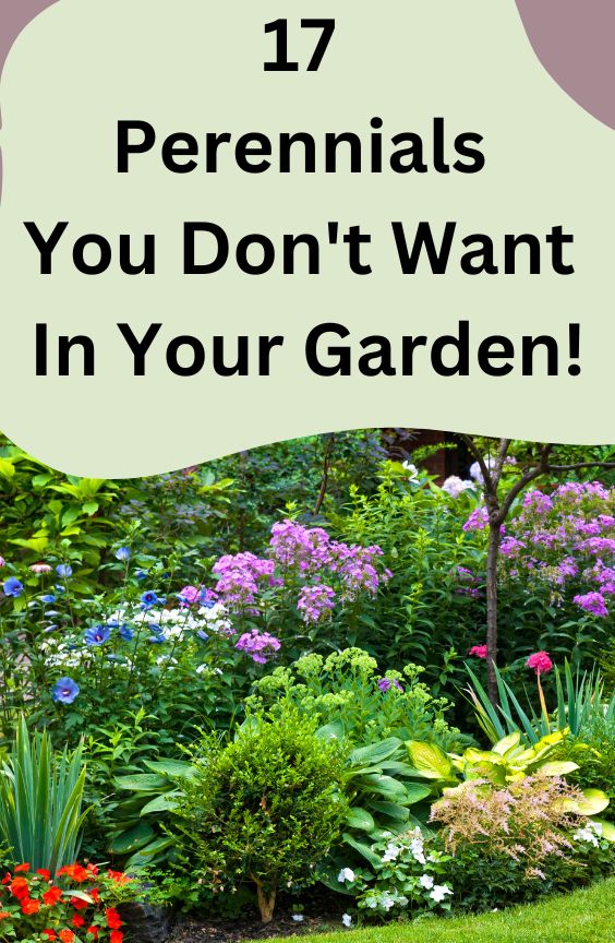 17 Perennial plants You Don't Want in Your Garden