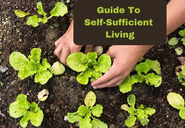 Self-Sufficient Living guides