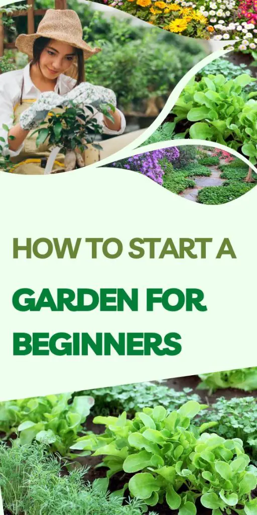 how to start a garden for beginners