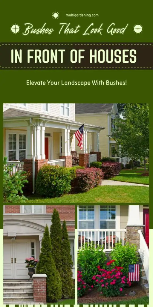 Bushes That Look Good In Front Of Houses