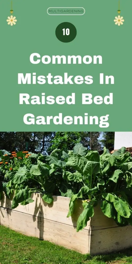 10 Common Mistakes in Raised Bed Gardening - Multigardening
